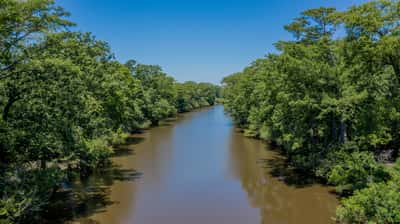 Presswood Lake Tract, Columbia County, AR