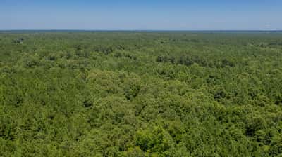 Presswood Lake Tract, Columbia County, AR