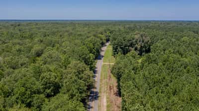 Presswood Lake Tract, Columbia County, AR