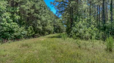 Presswood Lake Tract, Columbia County, AR