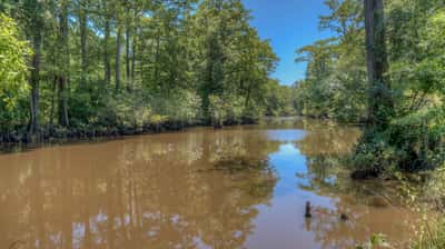 Presswood Lake Tract, Columbia County, AR