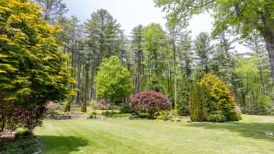 Spacious landscaped yard surrounded by vibrant trees, offering a peaceful retreat in nature's embrace.