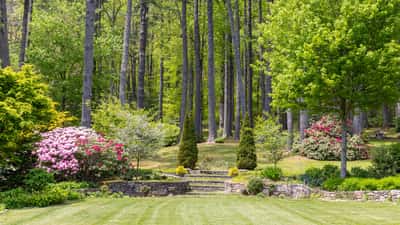 Discover a lush, vibrant landscape featuring stunning flowers, mature trees, and beautifully manicured pathways.