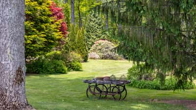 Lush greenery surrounds a quaint outdoor space, featuring unique landscaping and a rustic table for gatherings.