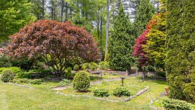 Discover a vibrant garden oasis featuring lush greenery and diverse plant life, perfect for outdoor retreats.