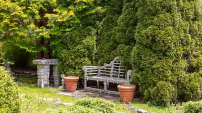 Nestled among tall greenery, this private garden feature includes a quaint stone bench and decorative pots.