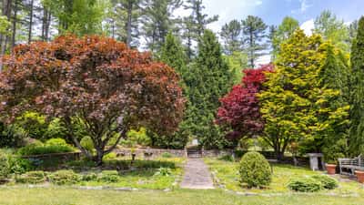 Picturesque landscape featuring vibrant foliage and a stone pathway, perfect for outdoor relaxation and gatherings.