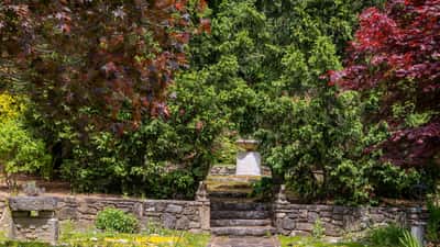 Discover a tranquil pathway surrounded by vibrant trees and lush greenery, perfect for nature lovers.