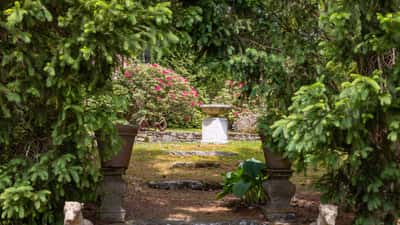 Discover a tranquil garden oasis, featuring lush greenery and a picturesque stone pathway leading to a fountain.