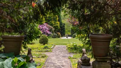 Discover a picturesque garden pathway leading to vibrant blooms and inviting greenery in this tranquil outdoor space.
