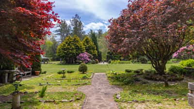 Discover a spacious outdoor oasis featuring vibrant landscaping, mature trees, and a picturesque path leading to tranquility.