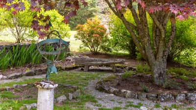Lush garden with vibrant foliage, featuring a unique sculpture and winding pathways for a tranquil outdoor retreat.