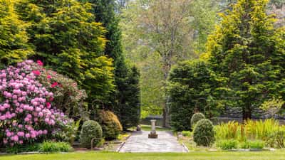 Discover a lush garden pathway framed by vibrant flowers and towering trees, perfect for outdoor relaxation.