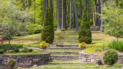 Lush greenery surrounds a beautifully landscaped garden with stone steps, inviting tranquility and nature's beauty.