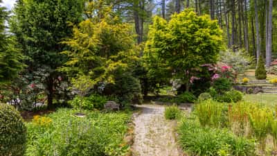 Discover a vibrant garden retreat, featuring lush greenery and diverse plant life, perfect for relaxation.