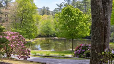 Discover a tranquil retreat with scenic pond views surrounded by lush greenery and vibrant flowering shrubs.