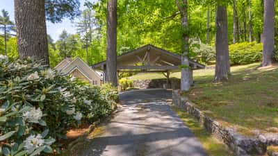 Private driveway leads to a spacious carport nestled among lush trees and vibrant landscaping.