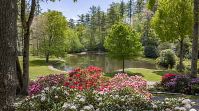 Tranquil retreat featuring vibrant gardens and a peaceful pond, ideal for nature lovers and relaxation.