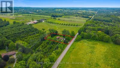 5803 3rd Line, New Tecumseth, ON