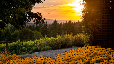 21510 S Wisteria Road, West Linn, OR
