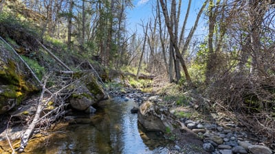 Buckhorn Road #1000, Ashland, OR