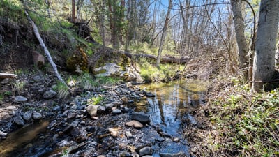 Buckhorn Road #1000, Ashland, OR