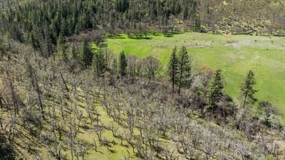 Buckhorn Road #1000, Ashland, OR