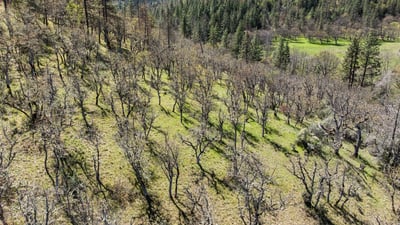 Buckhorn Road #1000, Ashland, OR