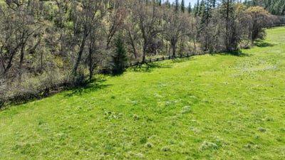 Buckhorn Road #1000, Ashland, OR