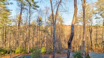 138 Lucius Lane, Cherry Log, GA