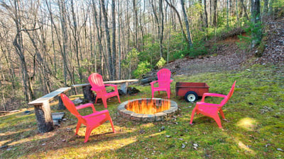 138 Lucius Lane, Cherry Log, GA