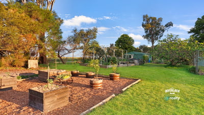 Spacious outdoor area featuring raised garden beds and scenic views, ideal for gardening enthusiasts and outdoor living.