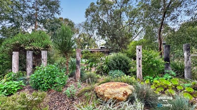 Lush garden landscape featuring native plants and rustic timber accents creates a vibrant outdoor retreat.