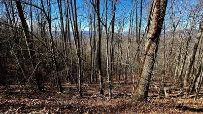 2223 Scarlet Ridge, Sylva, NC
