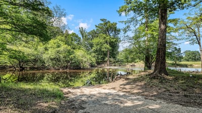160 Neely Camp Road, Sarepta, LA
