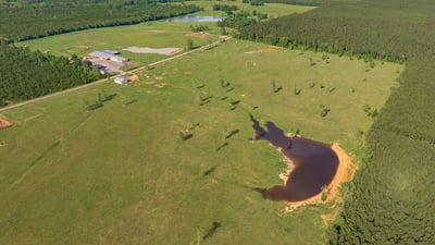Spacious, picturesque land featuring open fields, a tranquil pond, and surrounding wooded areas, ideal for development.