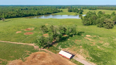 Expansive land featuring a tranquil pond surrounded by lush greenery, ideal for your dream property.