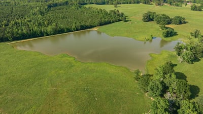Sprawling lush land with a picturesque pond, perfect for recreational activities and serene country living.