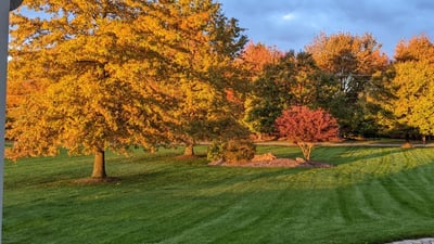 Morning sun brings a glow to the changing fall colors.
