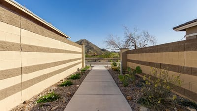 Desert-lined walking trail offering scenic views and a tranquil setting, perfect for enjoying the outdoors within the community.
