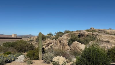 View of nearby modern homes illustrating the cohesive design, upscale feel, and desert setting of the Sereno Canyon community.