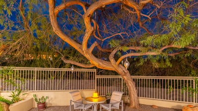 Private seating nook under a mature tree with desert landscaping and ambient lighting, perfect for peaceful Scottsdale evenings outdoors.