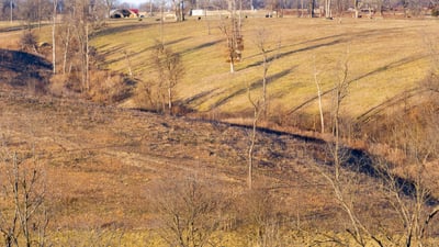 Looking north to Corral