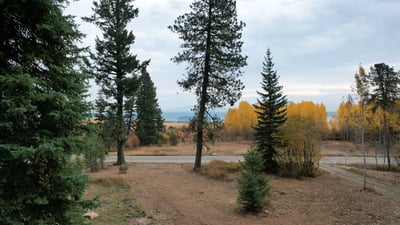 1608 Bear Trail Loop, Cascade, ID
