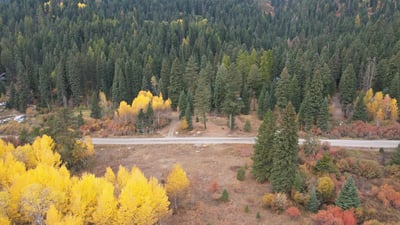 1608 Bear Trail Loop, Cascade, ID
