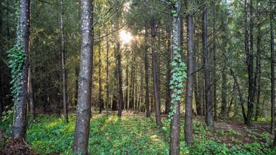 17060 SW Weir Rd, Beaverton, OR