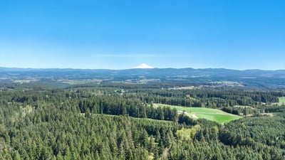 21825 S Lewellen Rd, Beavercreek, OR
