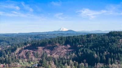 13920 S Lucia Lane, Mulino, OR