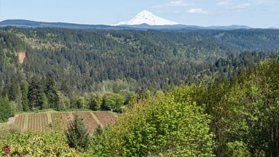 7428 SE Cottrell Rd, Gresham, OR
