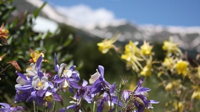 112 N. Pine Street, Breckenridge, CO